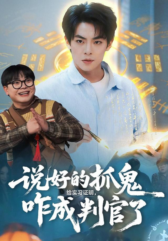 第二十条